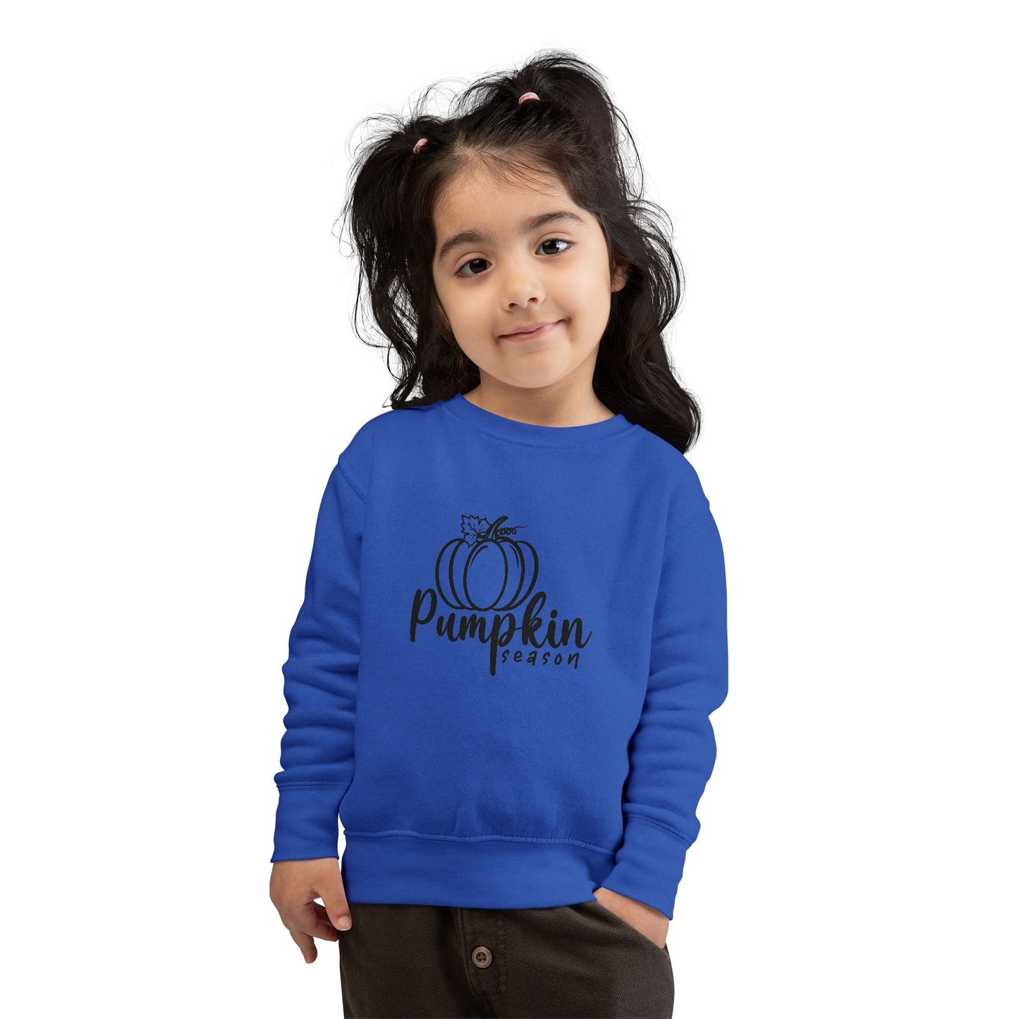 Mama & Me Pumpkin Season Sweatshirt